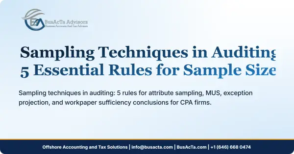 Sampling Techniques in Auditing: 5 Essential Rules for Sample Size