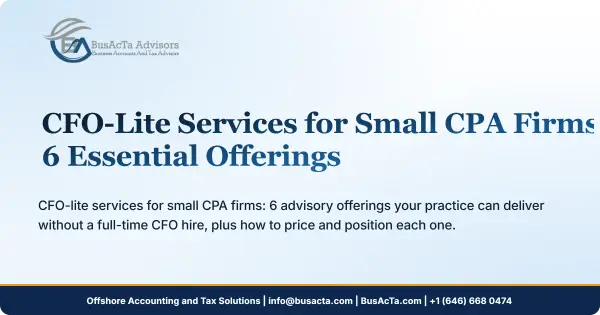 CFO-Lite Services for Small CPA Firms: 6 Essential Offerings